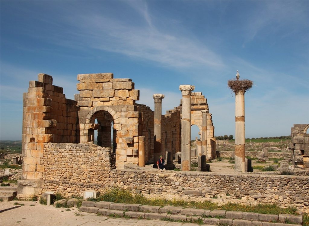 Volubilis - Sheet2
