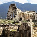 Volubilis - Sheet3