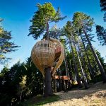 Yellow Treehouse Restaurant - Sheet2