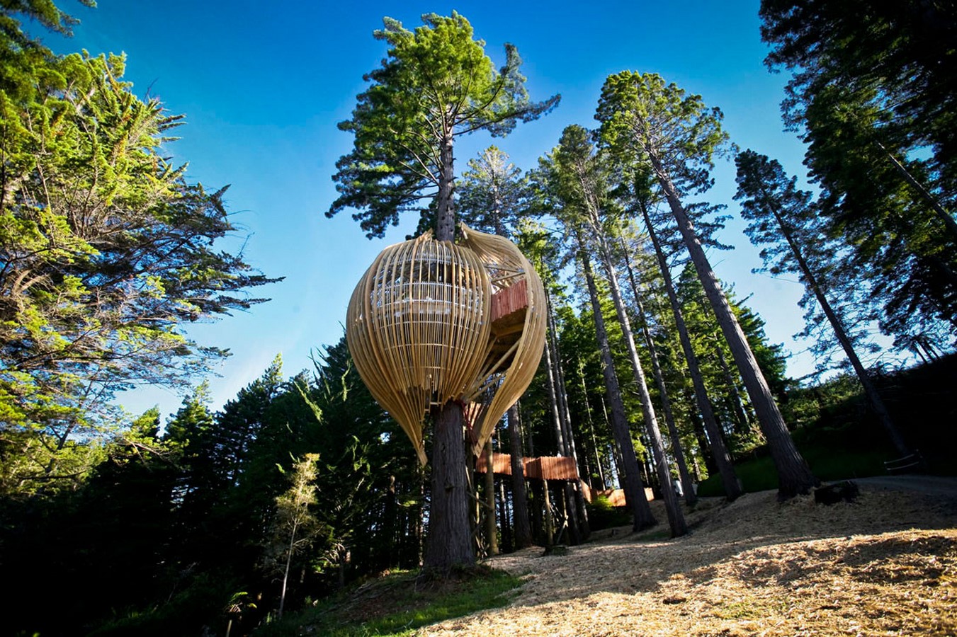Yellow Treehouse Restaurant - Sheet2