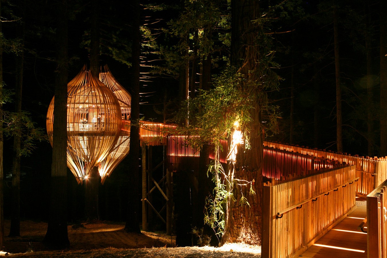 Yellow Treehouse Restaurant - Sheet3