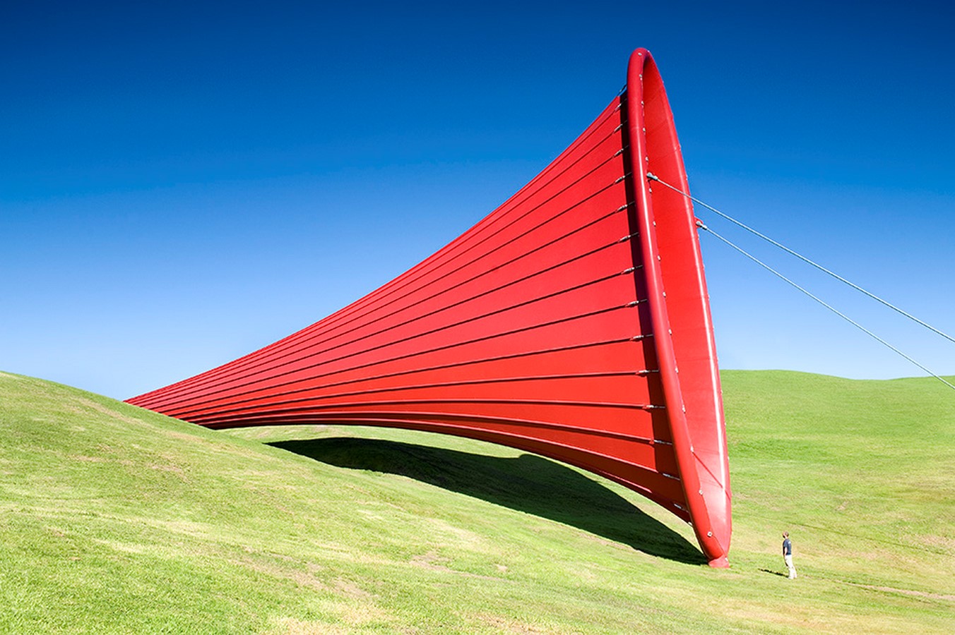 Anish Kapoor - Dismemberment Site- Sheet4