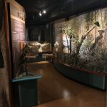 Cayman Island National Museum - Sheet3
