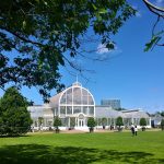 Trädgårdsföreningen: Garden society of Gothenburg - Sheet1