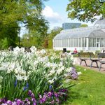 Trädgårdsföreningen: Garden society of Gothenburg - Sheet2