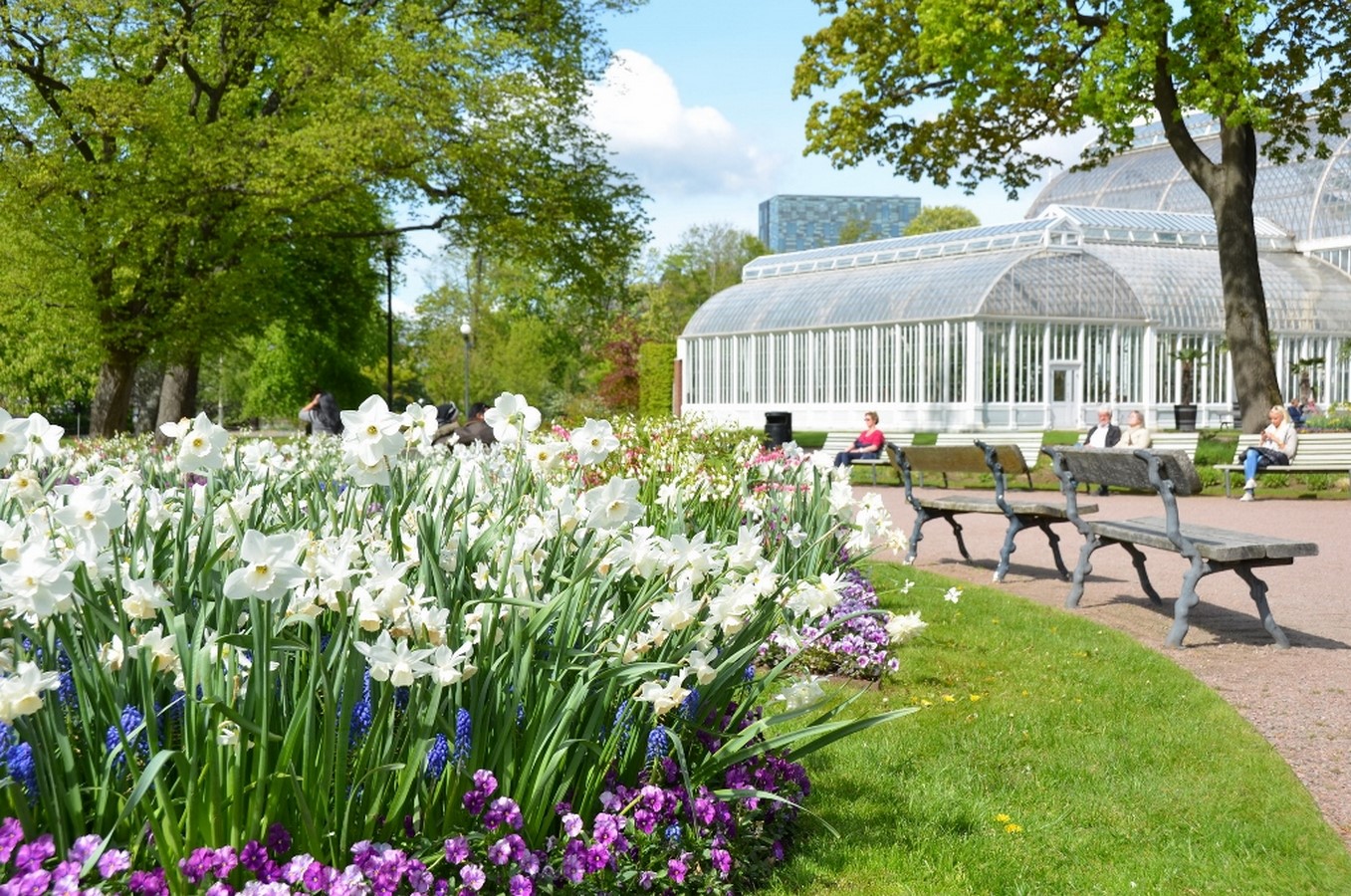 Trädgårdsföreningen: Garden society of Gothenburg - Sheet2