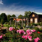 Trädgårdsföreningen: Garden society of Gothenburg - Sheet3