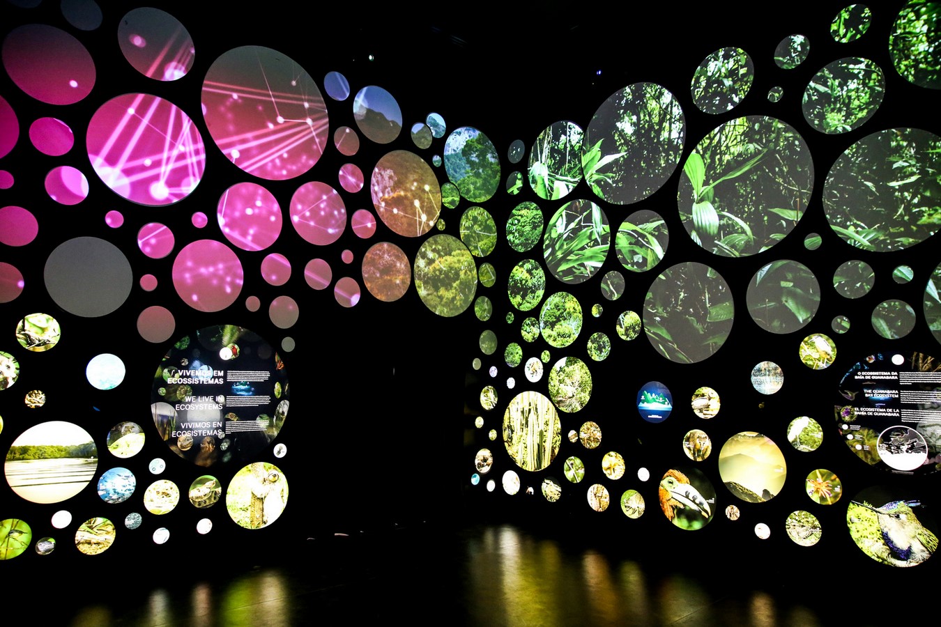 MUSEUM OF TOMORROW - Sheet4