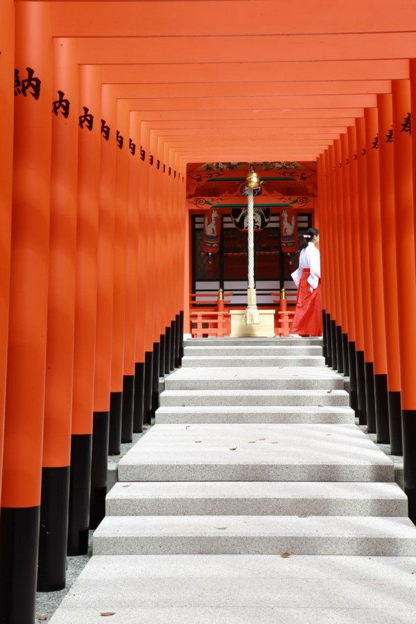 Ikuta Shrine - Sheet4