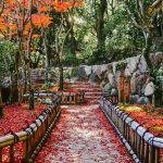 Sorakuen Garden - Sheet6