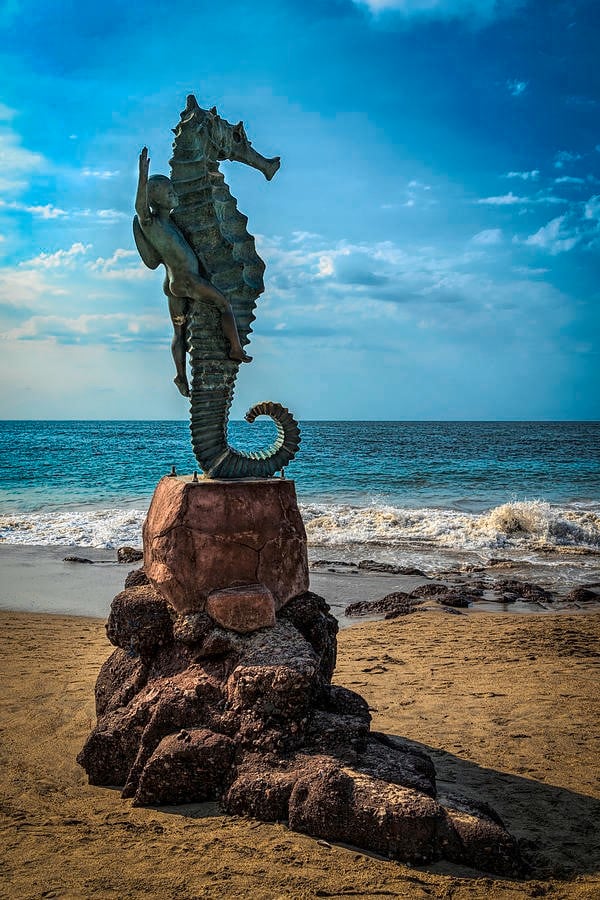 The Boy on the Seahorse - Sheet1