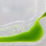 Bio-Digital Curtain filters air while creating Bioplastic - Sheet4