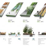Landscape architects are primarily a selector and arranger of plants - Sheet1