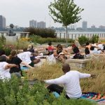The growing relevance of Landscape architecture - Sheet6