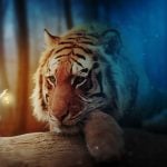 Photography - Sheet1