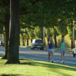 The importance of green pockets in overcrowded cities - Sheet2
