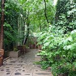 The importance of green pockets in overcrowded cities - Sheet3