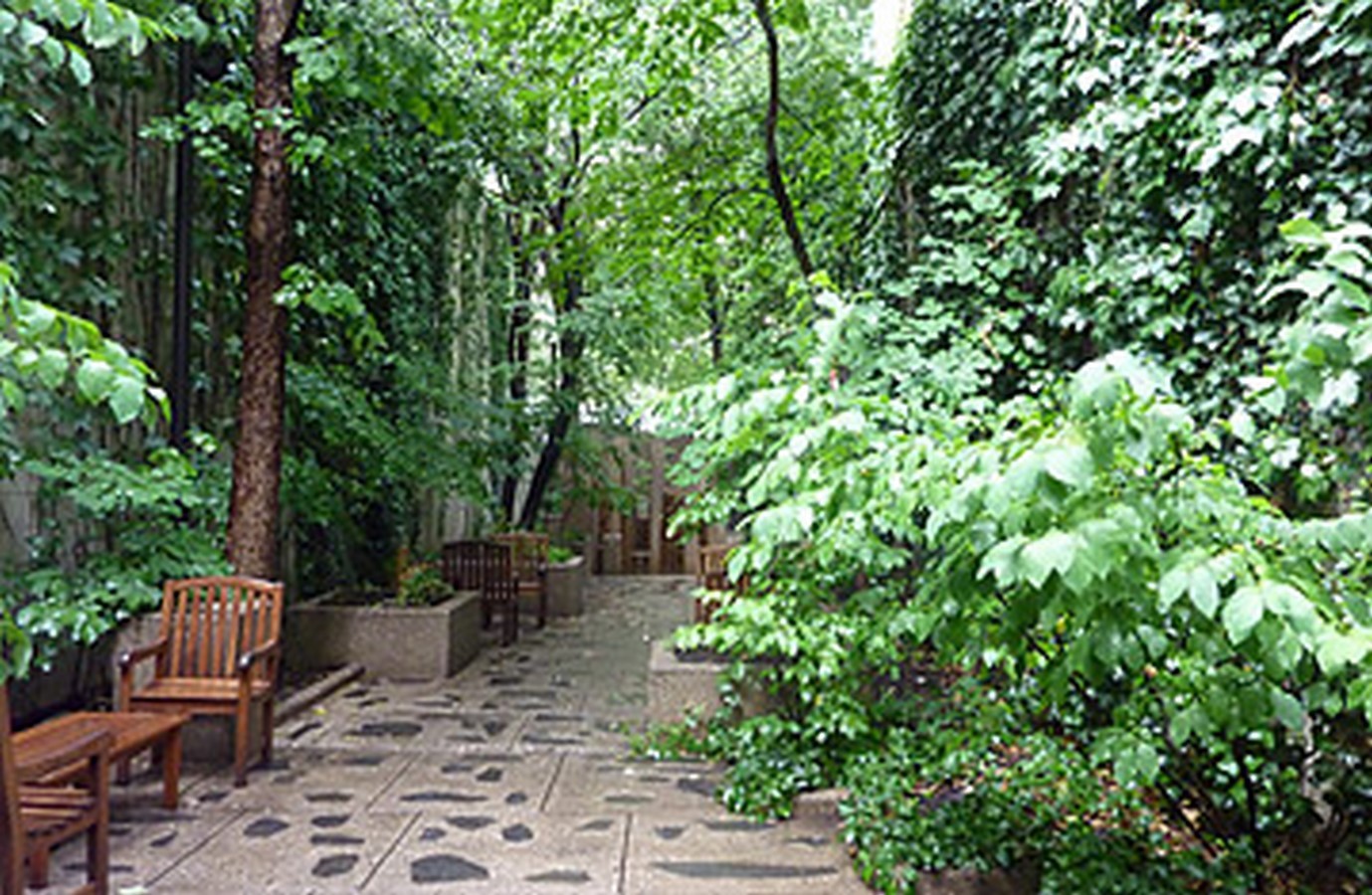 The importance of green pockets in overcrowded cities - Sheet3