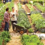 The importance of green pockets in overcrowded cities - Sheet7