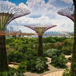 The importance of green pockets in overcrowded cities - Sheet9