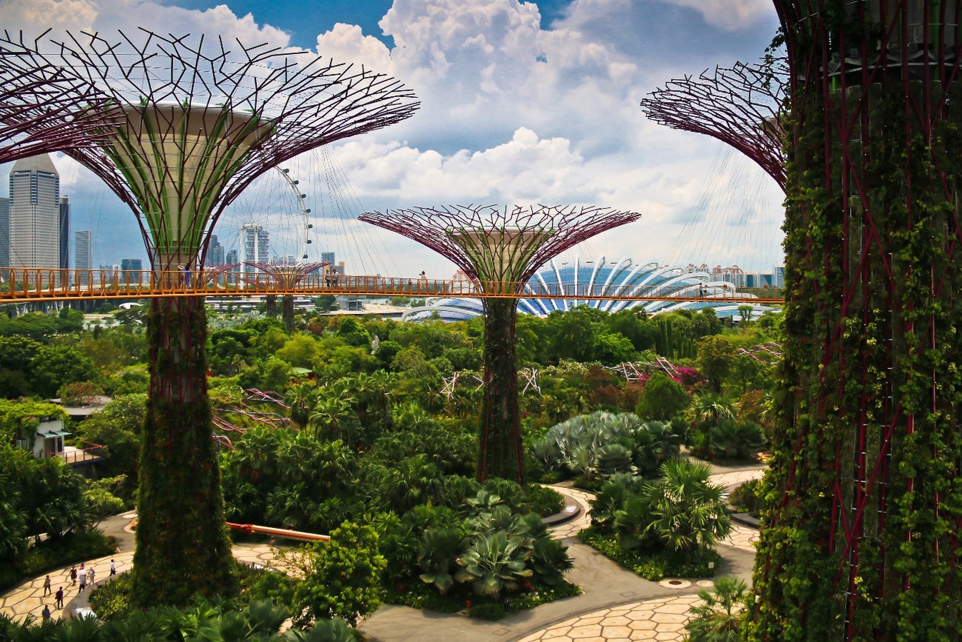 The importance of green pockets in overcrowded cities - Sheet9