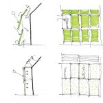 The history of Biomimicry and Architecture - Sheet10