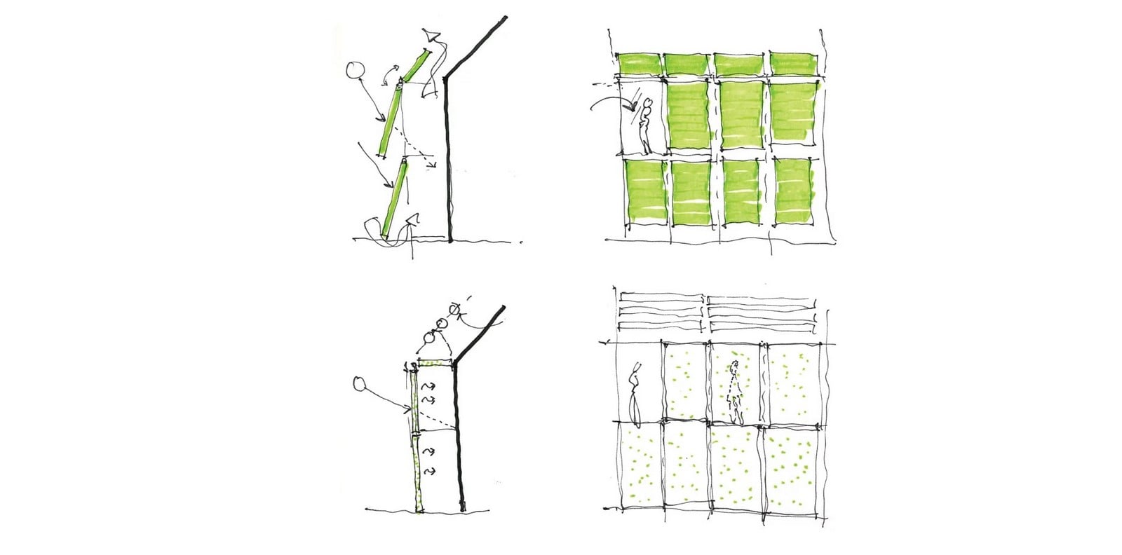 The history of Biomimicry and Architecture - Sheet10