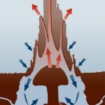The history of Biomimicry and Architecture - Sheet12