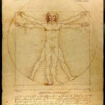 The history of Biomimicry and Architecture - Sheet4