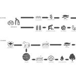 The history of Biomimicry and Architecture - Sheet8