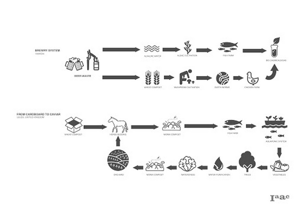 The history of Biomimicry and Architecture - Sheet8
