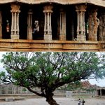 Vitthala Temple - Sheet8