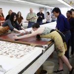 10 Things to remember when designing a Museum - Sheet14
