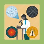 10 Things to remember when designing with biomimicry - Sheet3