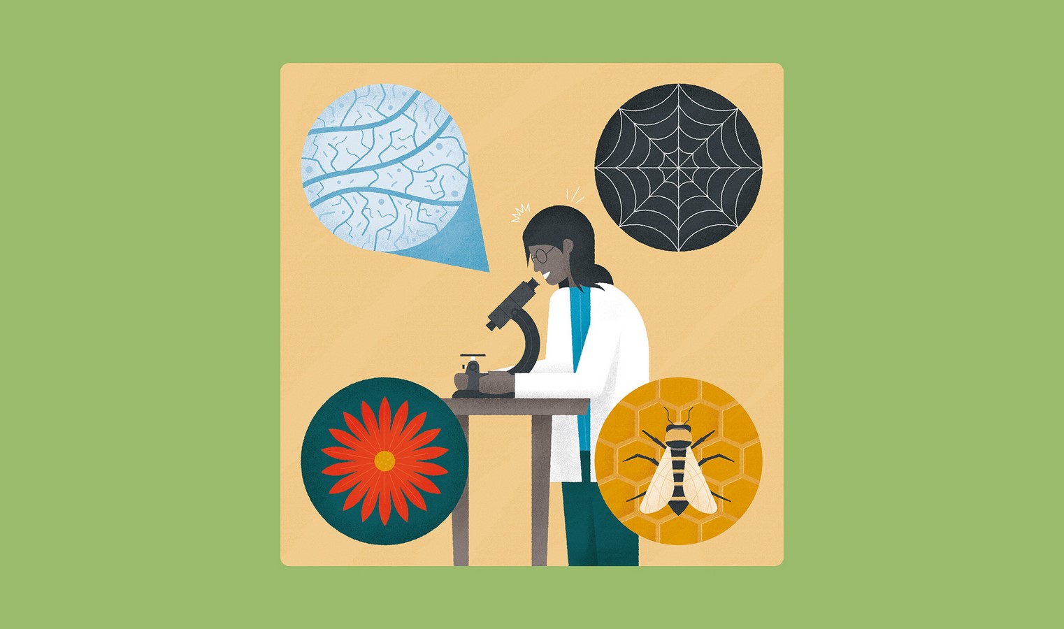 10 Things to remember when designing with biomimicry - Sheet3