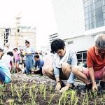 Siam Green Sky Urban Agriculture Learning Center - Sheet3