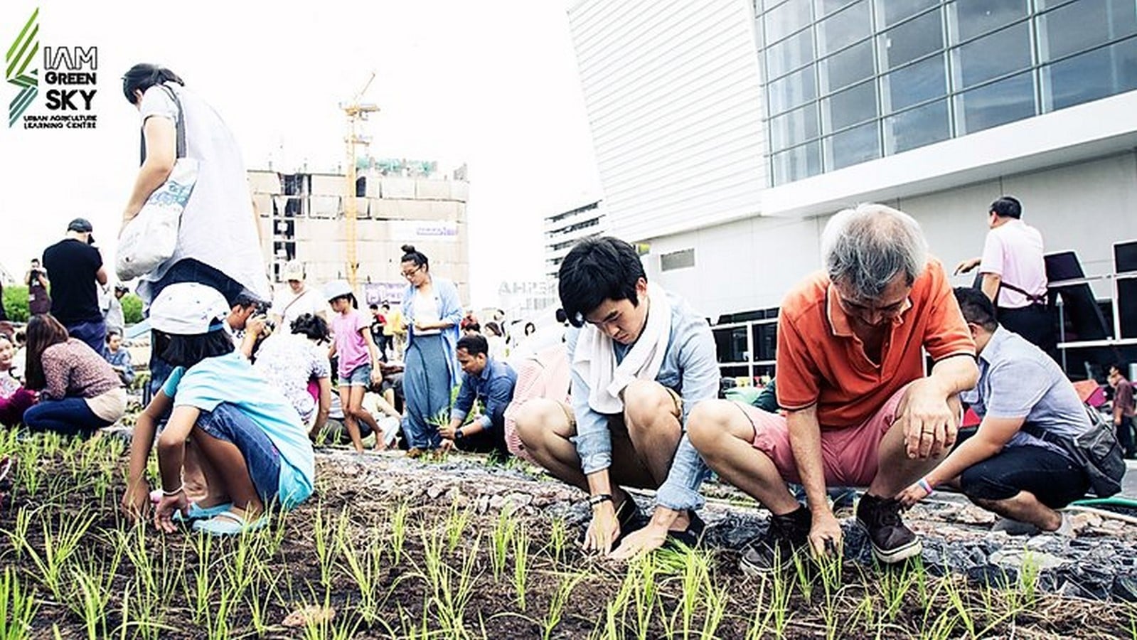 Siam Green Sky Urban Agriculture Learning Center - Sheet3