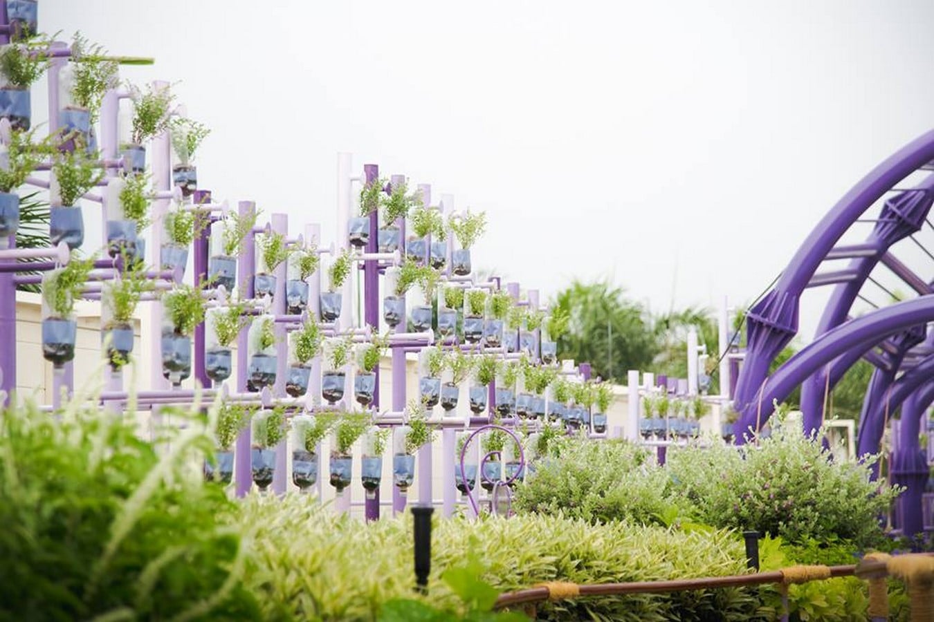 Sookwana Healing Garden - Sheet4