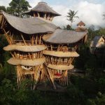 Bamboo - Sheet3
