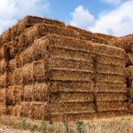 Straw bales - Sheet1