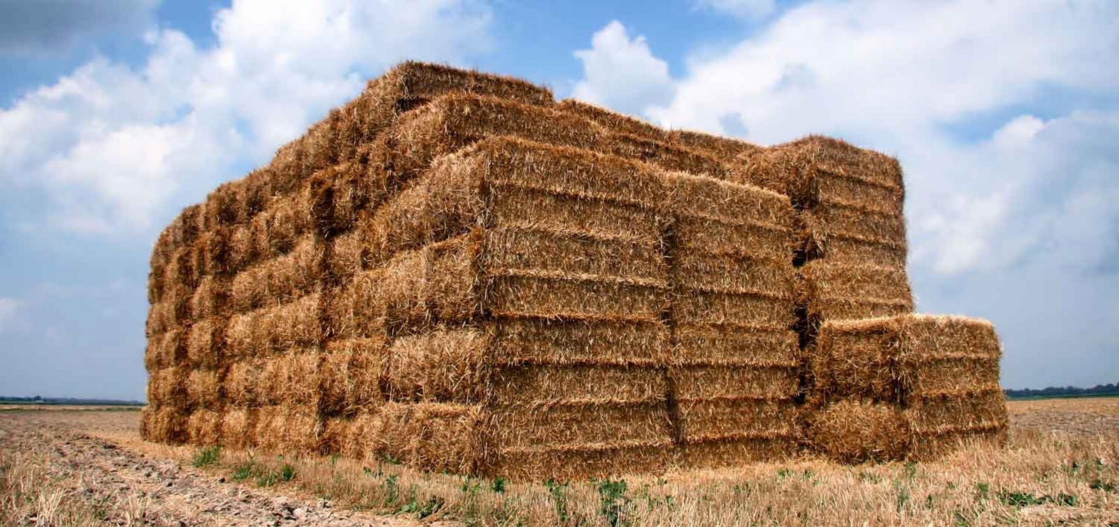 10 Sustainable Materials Every Architect Must Know -Straw bales - Sheet1