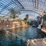 Paris Zoological Park, France - Sheet2