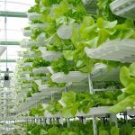 20 Thesis topics related to Sustainable Architecture - Sheet11
