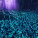 Avatar Directed by - James Cameron. - Sheet5