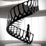 10 Instances of Biomimicry in Interiors - Sheet13