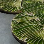 10 Instances of Biomimicry in Interiors - Sheet4
