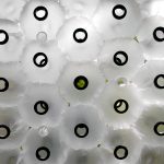 10 Instances of Biomimicry in Interiors - Sheet7