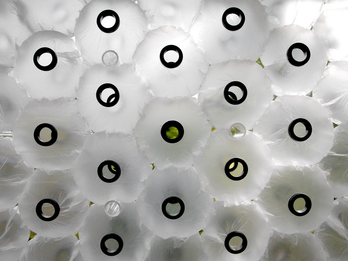 10 Instances of Biomimicry in Interiors - Sheet7