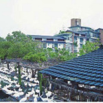 Chu-lin Nursing Home and Hospice, I-Lan, Taiwan, R.O.C - Sheet3