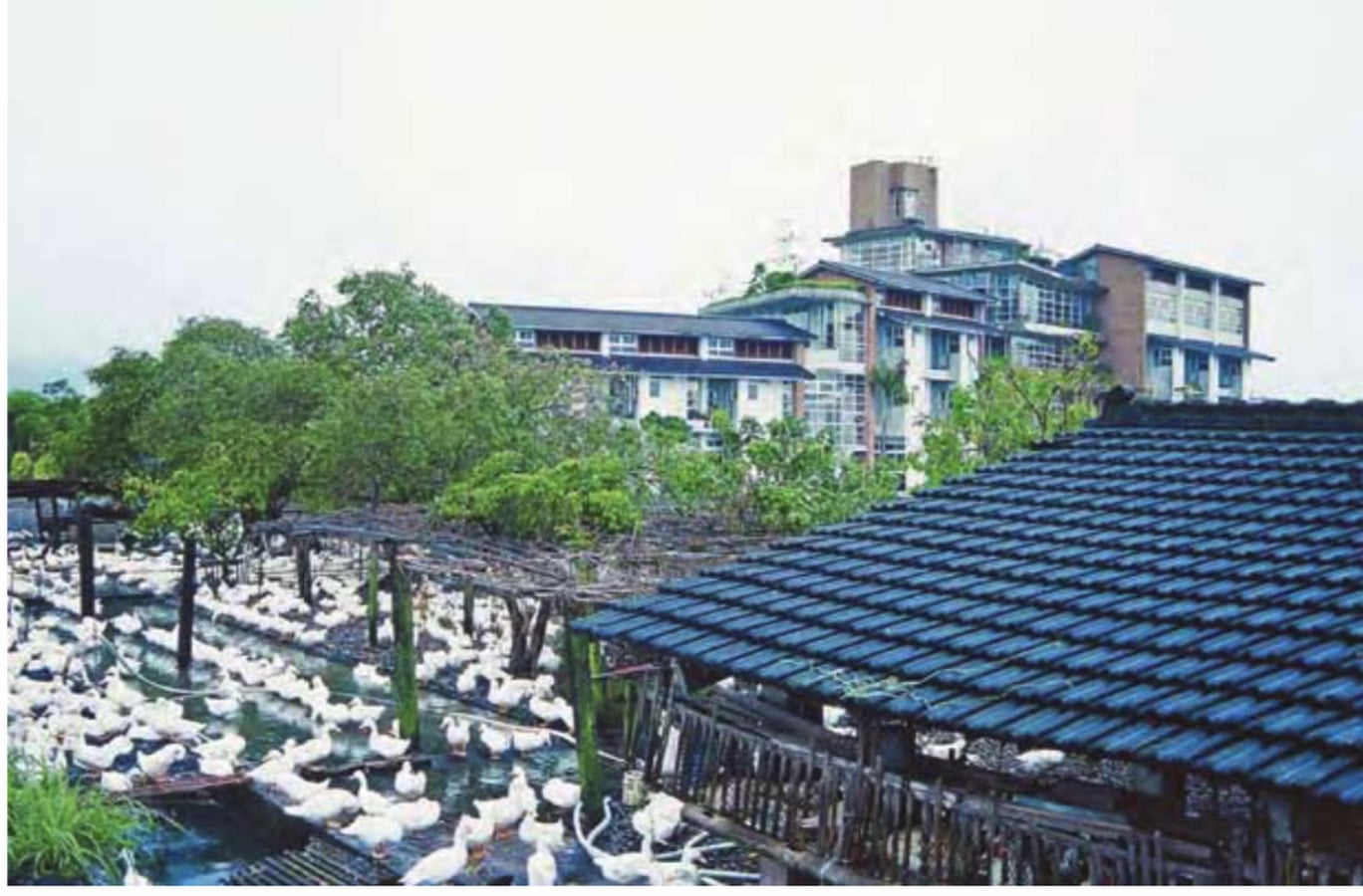 Chu-lin Nursing Home and Hospice, I-Lan, Taiwan, R.O.C - Sheet3